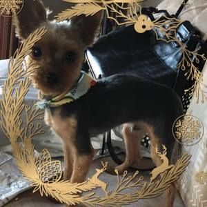 Meet your Posher, Beth